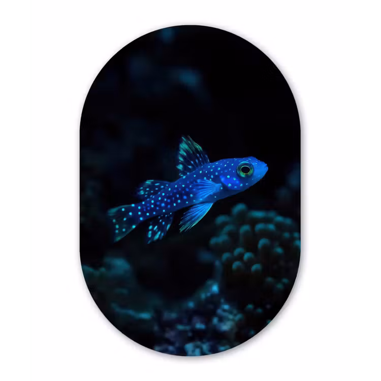 Vis - Stippen - Koraal - Blauw Wandcirkel Ovaal Forex klein -3d