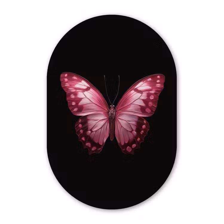 Vlinder - Fuchsia - Grafisch Wandcirkel Ovaal Forex klein -3d