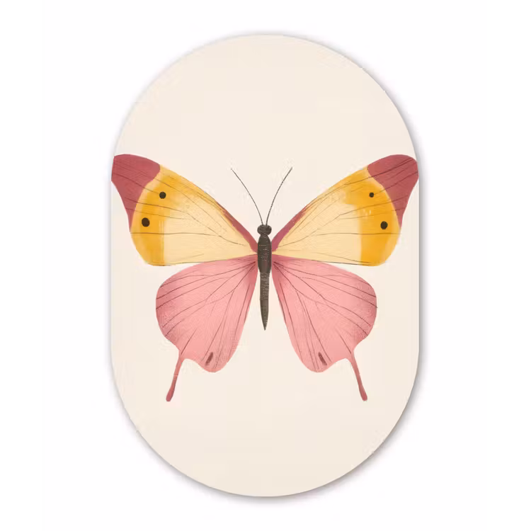 Vlinder - Illustratie - Roze Wandcirkel Ovaal Forex klein -3d