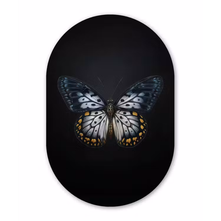 Vlinder - Monochroom - Balans Wandcirkel Ovaal Forex klein -3d