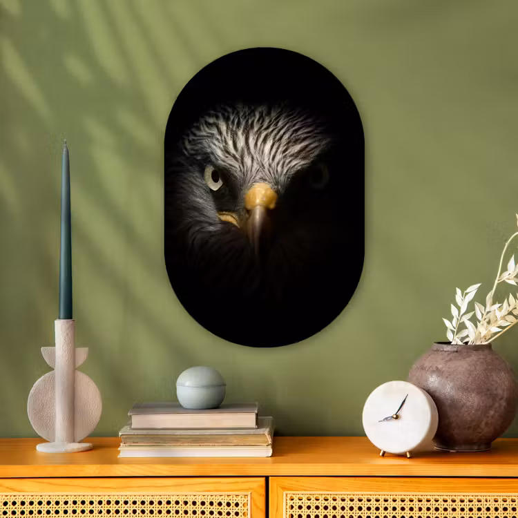 Vogel - Adelaar - Roofvogels - Oog - Snavel - Licht Wandcirkel Ovaal Forex klein -sfeer2