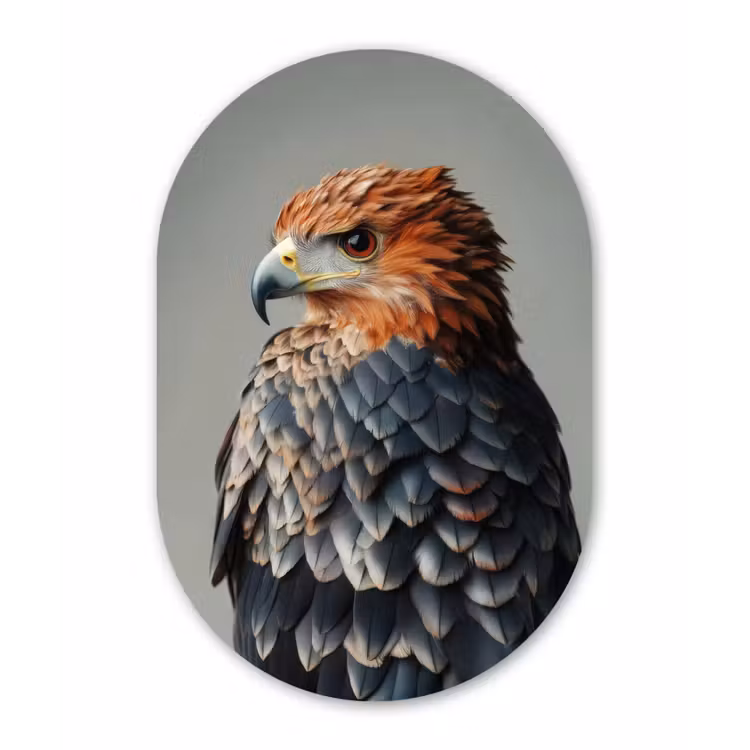Vogel - Realistisch - Veren - Bruin Wandcirkel Ovaal Forex klein -3d