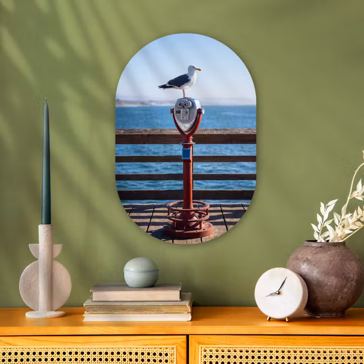 Vogel - Verrekijker - Kust - Zee - Blauw Wandcirkel Ovaal Forex klein -sfeer2
