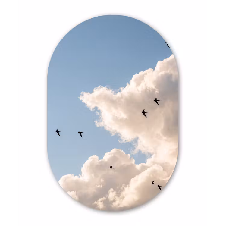 Vogel - Vlucht - Wolken - Natuur - Blauw Wandcirkel Ovaal Forex klein -3d