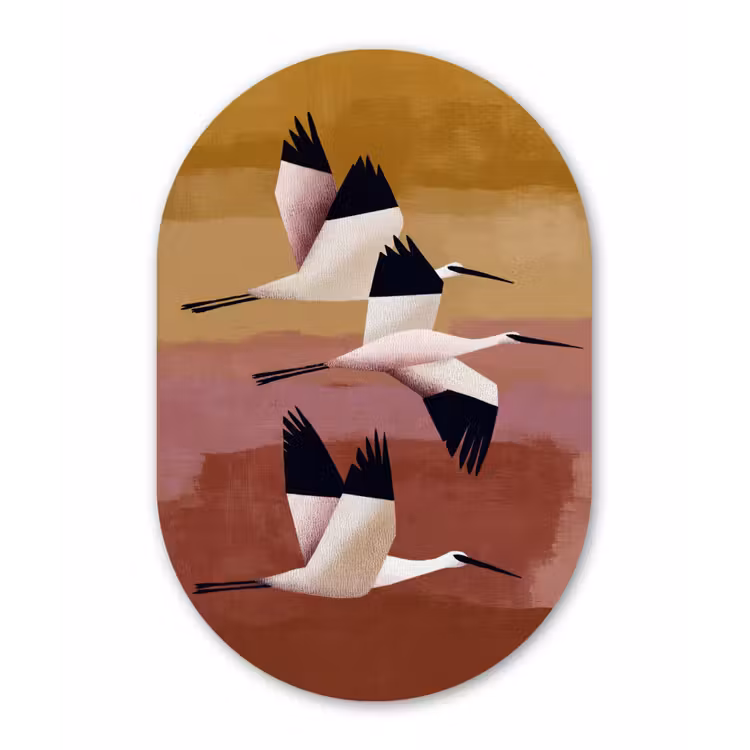 Vogels - Snavel - Abstract Wandcirkel Ovaal Forex klein -3d