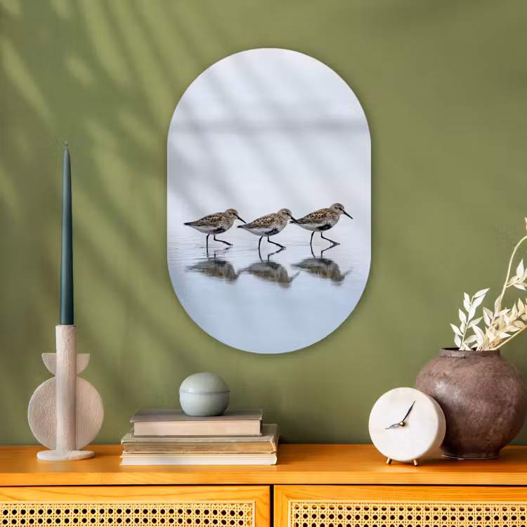 Vogels - Water - Grijs Wandcirkel Ovaal Forex klein -sfeer2