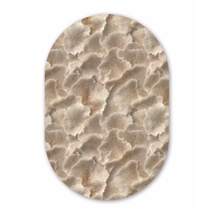 Waaierstructuren - Beige - Vezeltextuur Wandcirkel Ovaal Forex klein 630 -3d