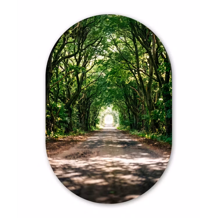 Weg - Bomen - Natuur - Groen Wandcirkel Ovaal Forex klein -3d