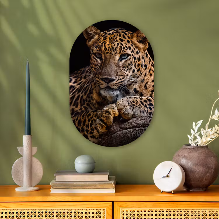 Wilde dieren - Panter - Portret - Zwart - Dieren Wandcirkel Ovaal Forex klein -sfeer2