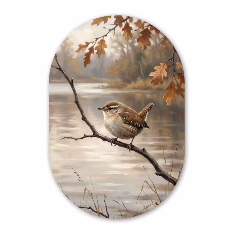 Winterkoninkje - Tak - Rivier - Natuur - Sfeervol Wandcirkel Ovaal Forex klein -3d