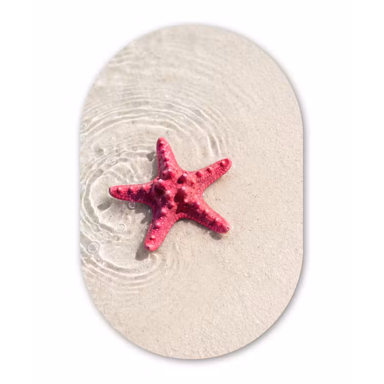 Zeeleven - Zeester - Strand - Roze - Water Wandcirkel Ovaal Forex klein -3d