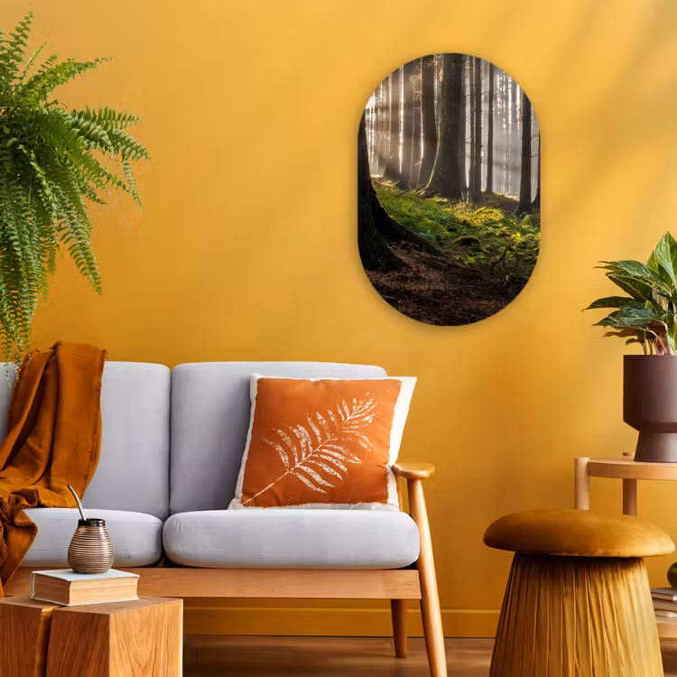 Zon - Takken - Bomen - Bos - Natuur Wandcirkel Ovaal Forex klein -sfeer4