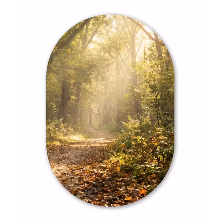 Zonlicht - Bospad - Bomen Wandcirkel Ovaal Forex klein -3d