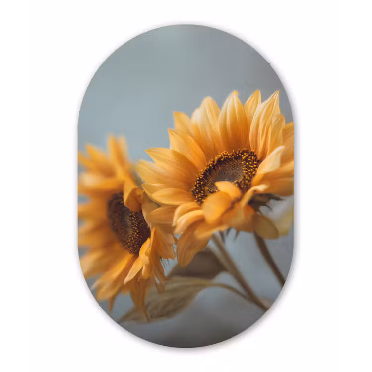 Zonnebloemen - Geel - Wazig Wandcirkel Ovaal Forex klein -3d