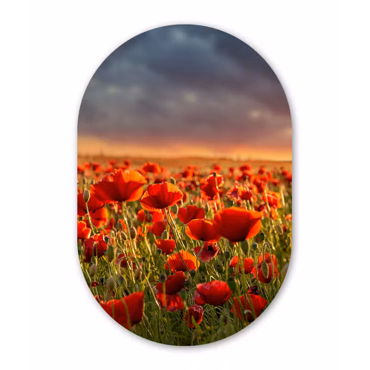 Zonsondergang - Klaprozen - Rood Wandcirkel Ovaal Forex klein -3d