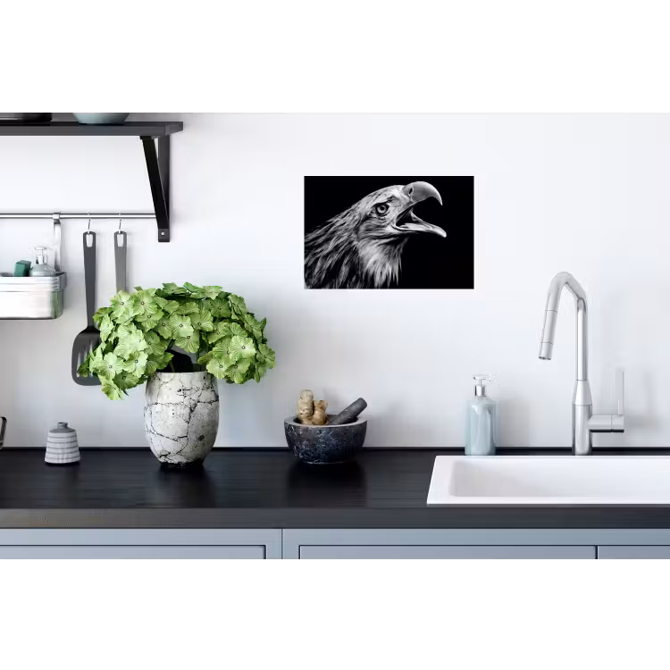 Adelaar - Portret - Roofvogels - Zwart - Wit - Vogel Muursticker klein -keuken