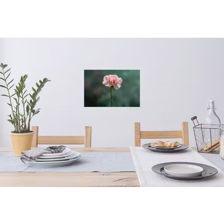 Anjer - Roze - Bloemblaadjes Muursticker klein -eettafel