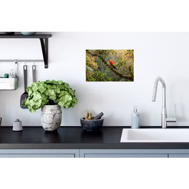 Ara - Jungle - Rood Muursticker klein -keuken