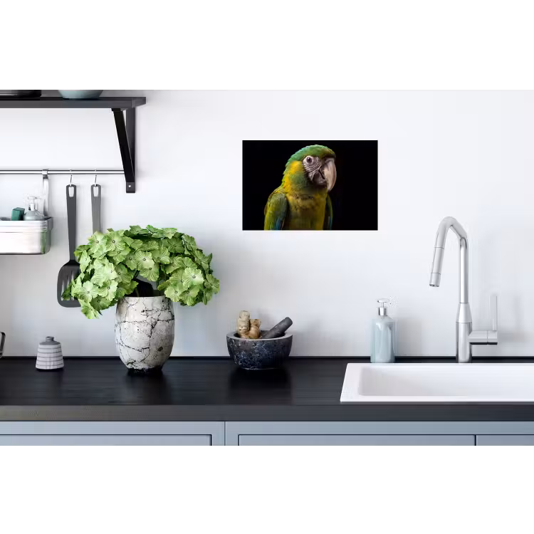 Ara - Portret - Groen Muursticker klein -keuken