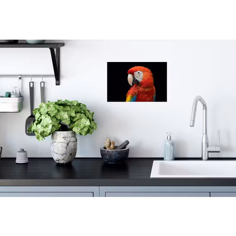 Ara - Portret - Rood Muursticker klein -keuken