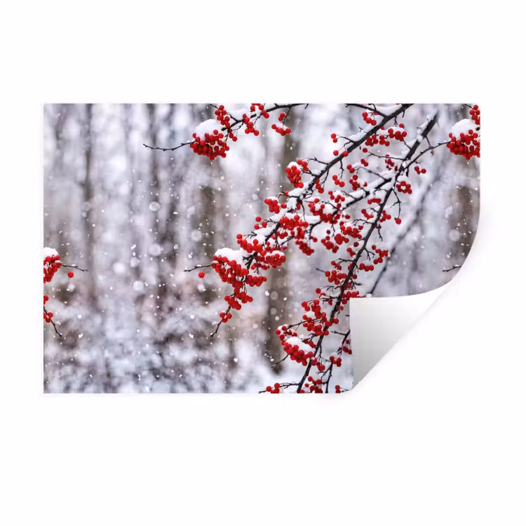 Bessen - Takken - Sneeuw - Winter - Kleurrijk Muursticker klein -3d