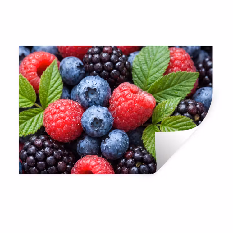 Bessen - Vers - Waterdruppels - Kleurrijk - Eten Muursticker klein -3d