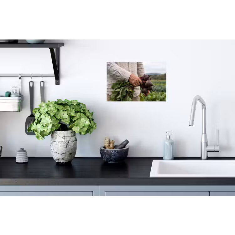 Bieten - Vers - Moestuin Muursticker klein -keuken