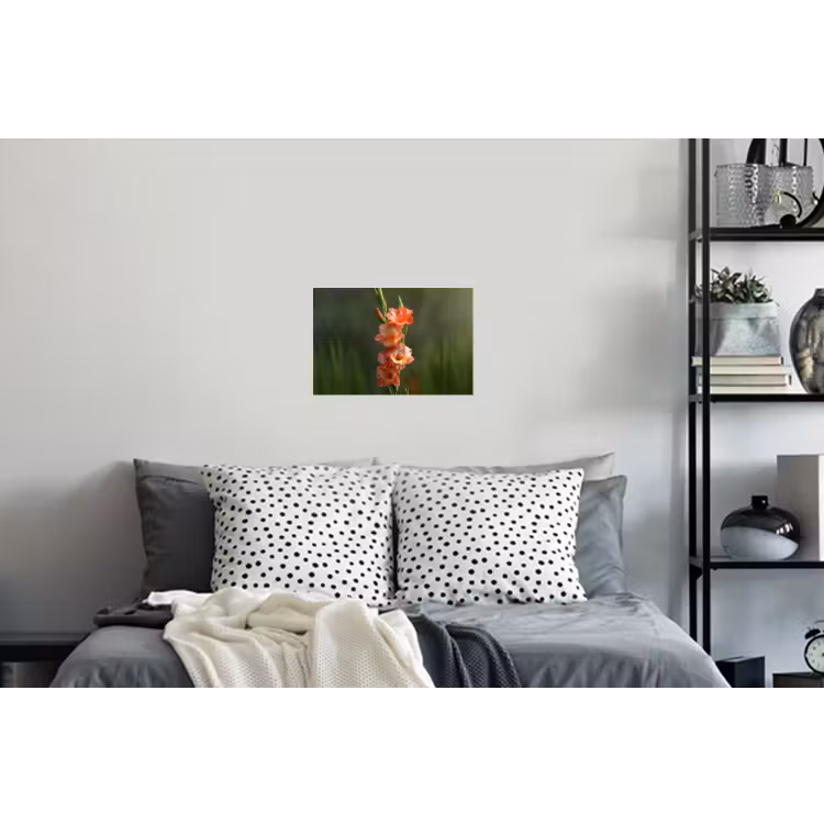 Bloem - Gladiolen - Zalmroze Muursticker klein -slaapkamer