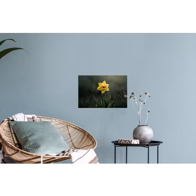 Bloem - Narcis - Gras - Geel Muursticker klein -plant