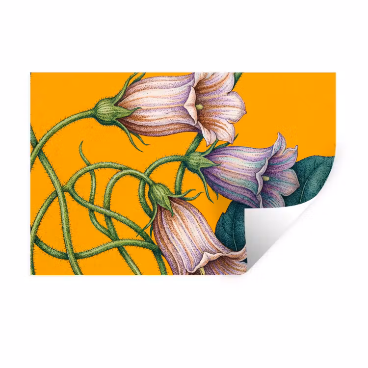 Muursticker - Bloemen - Botanisch - Geel - Bloemen - Botanisch - Geel Muursticker klein