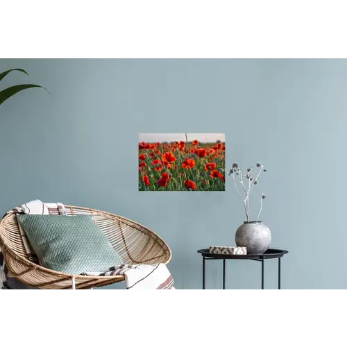 Bloemen - Klaprozen - Natuur - Rood Muursticker klein -plant