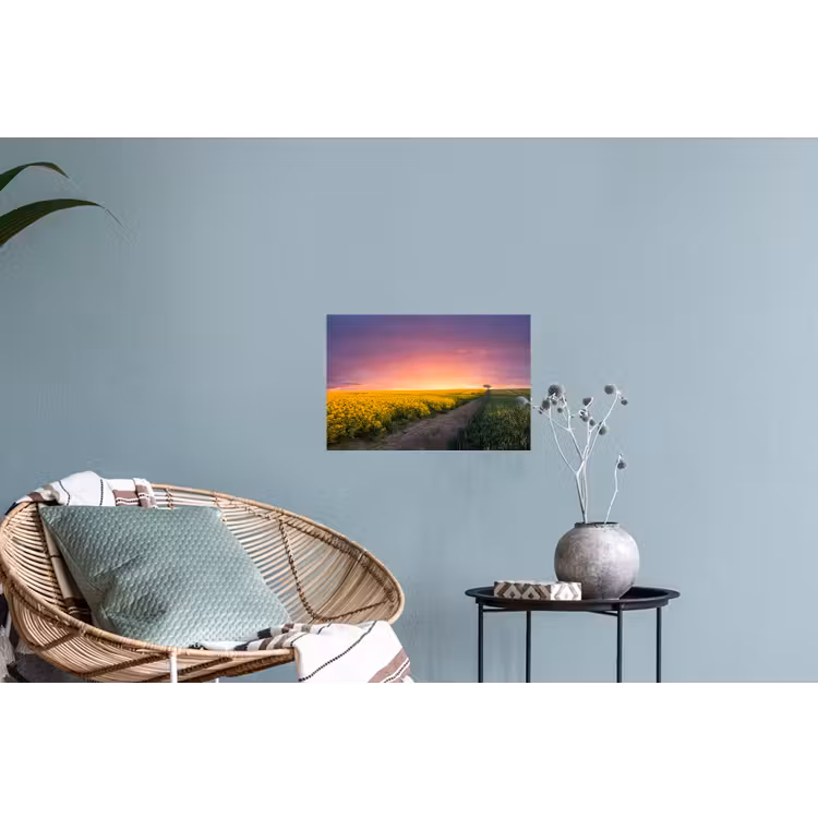Bloemen - Weg - Lucht - Geel - Paars Muursticker klein -plant