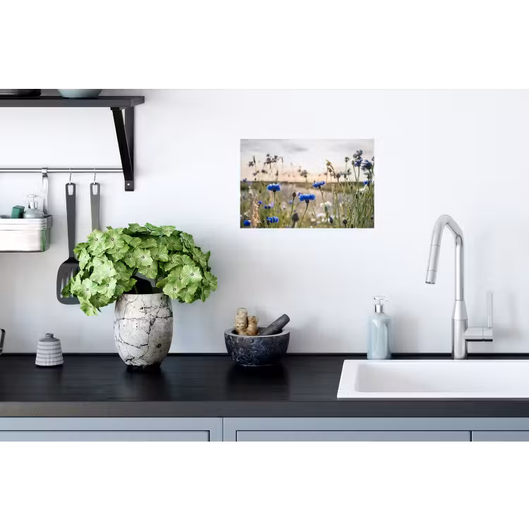 Bloemen - Zomer - Korenbloem - Blauw - Zon - Wolken Muursticker klein -keuken