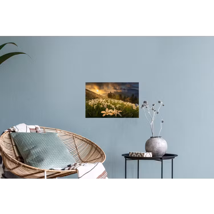 Bloemenveld - Heuvels - Zonsondergang - Berg - Natuur - Wit Muursticker klein -plant
