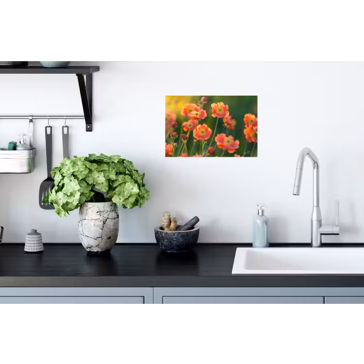 Bloemenveld - Zonnestralen - Oranje Muursticker klein -keuken