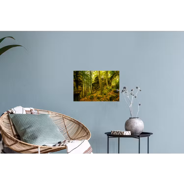 Bomen - Steen - Bos - Natuur Muursticker klein -plant