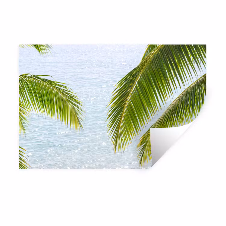 Boom - Bladeren - Water - Tropisch - Groen Muursticker klein -3d