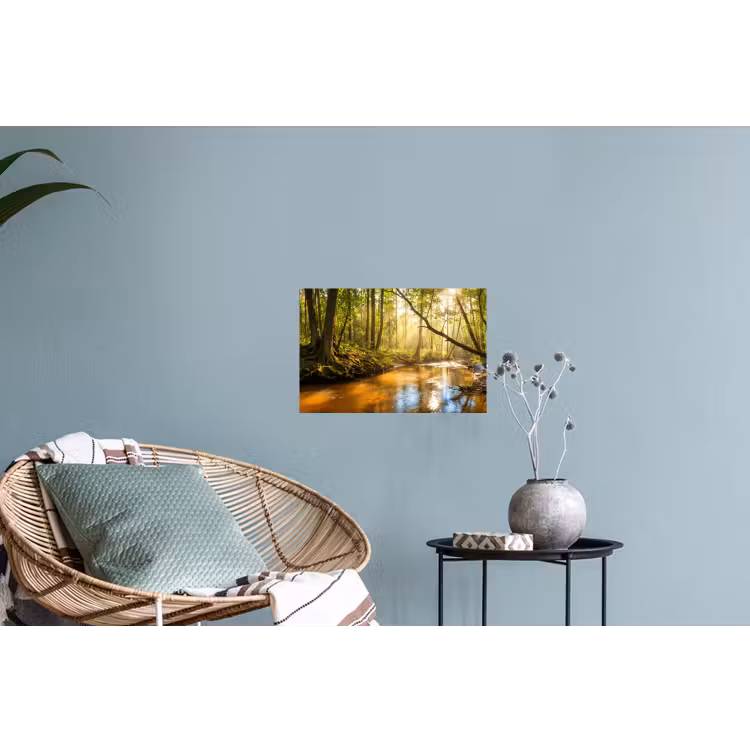 Bos - Beek - Zonlicht - Natuur - Groen Muursticker klein -plant