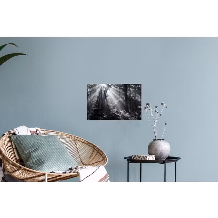 Bos - Lichtstralen - Natuur - Zwart-wit Muursticker klein -plant