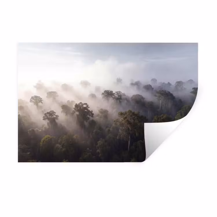 Bos - Mist - Natuur - Groen Muursticker klein -3d