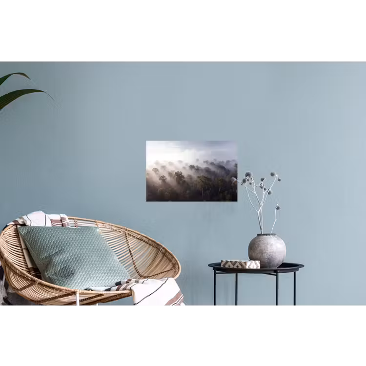 Bos - Mist - Natuur - Groen Muursticker klein -plant