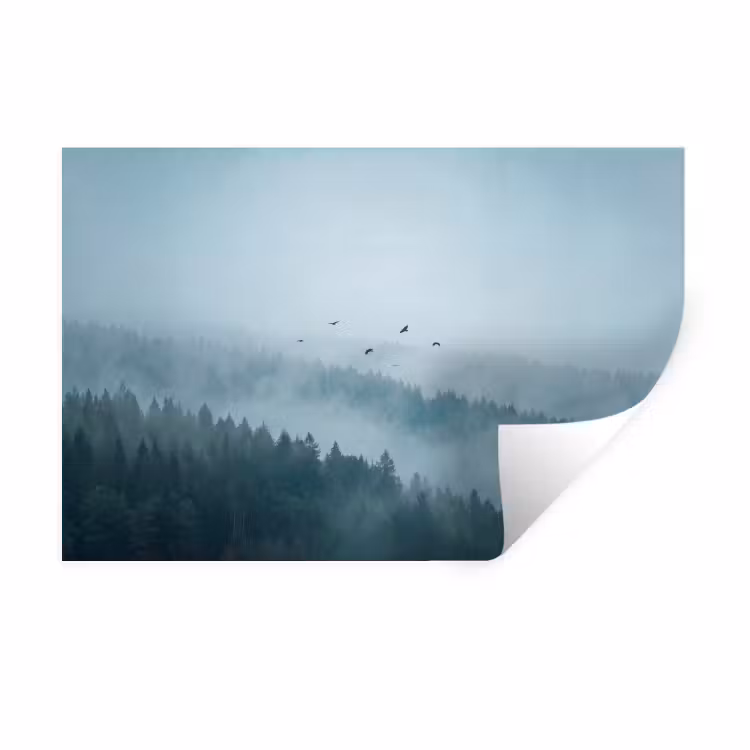 Bos - Mist - Vogels - Natuur - Groen Muursticker klein -3d