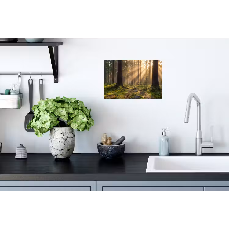 Bos - Zonlicht - Gras Muursticker klein -keuken