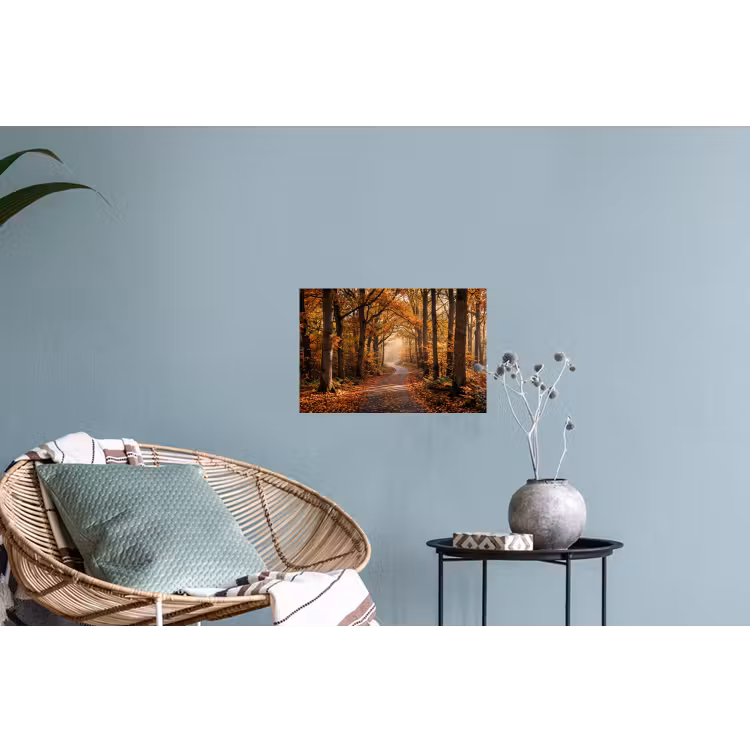 Bospad - Herfstbos - Bladeren - Oranje - Nostalgisch Muursticker klein -plant