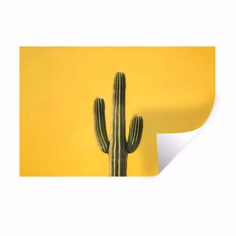 Cactus - Groen - Minimalistisch Muursticker klein -3d