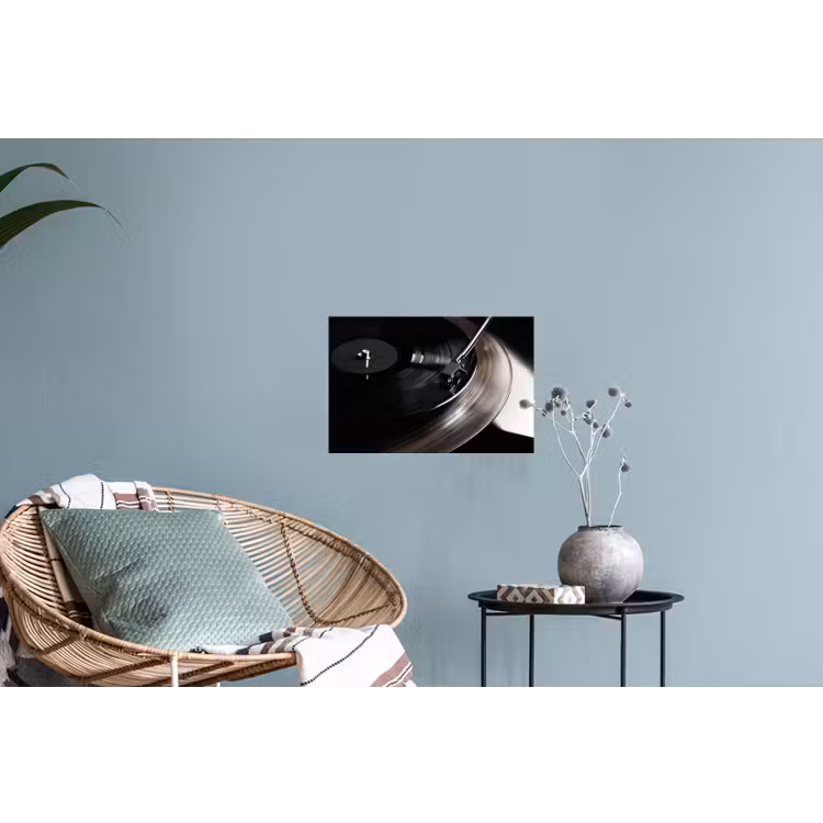 Close-up - Vinylplaat - Platenspeler - Zwart Muursticker klein -plant