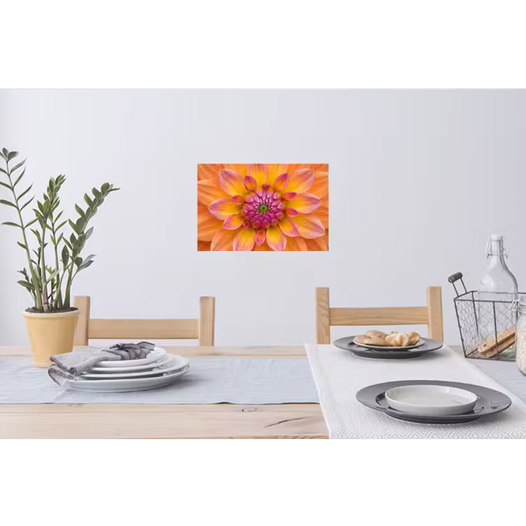 Dahlia - Bloem - Oranje Muursticker klein -eettafel