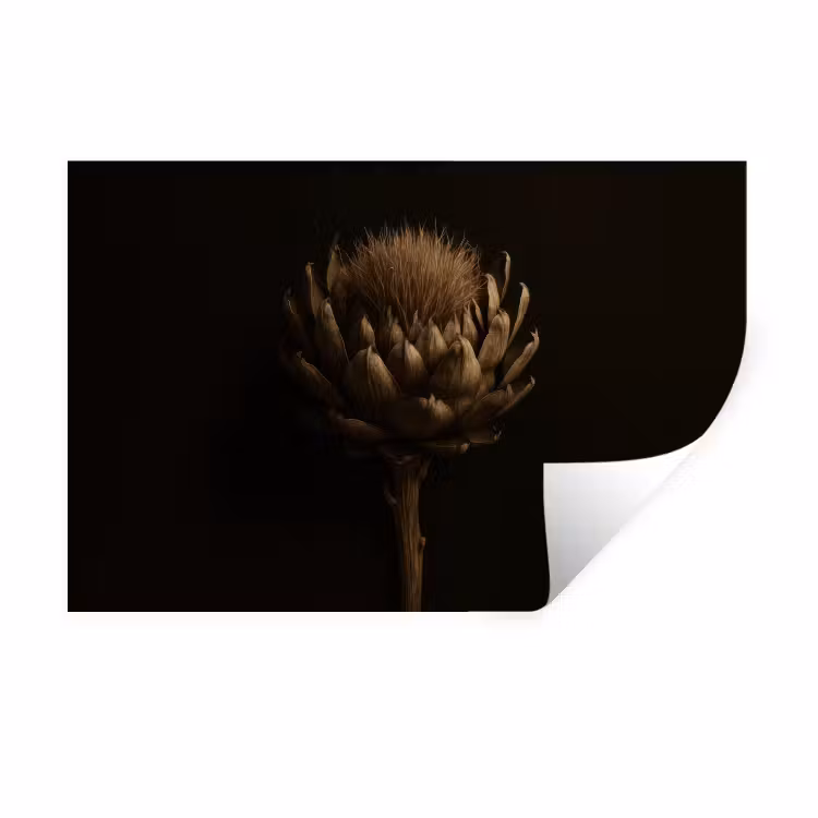 Donkerbruin - Bloem - Textuur - Artisjok Muursticker klein -3d