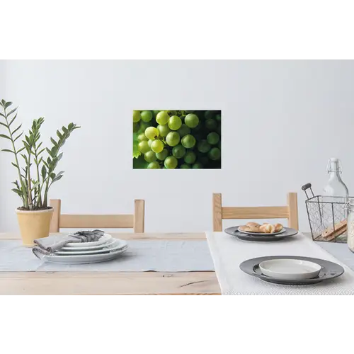 Druiven - Tros - Groen Muursticker klein -eettafel