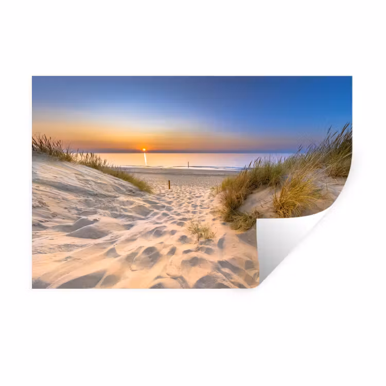 Duin - Zonsondergang - Horizon - Strand - Gras Muursticker klein -3d